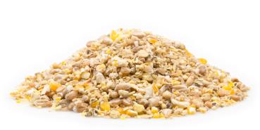 Mifuma Zucht Premium Mehl 25kg