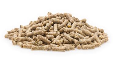 Mifuma Zucht Premium Pellet 25kg