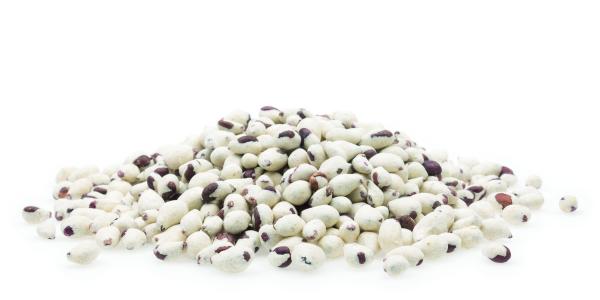 Mifuma Immun Perle 5kg