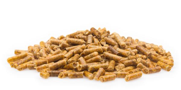 Mifuma Möhrenkorn 4kg