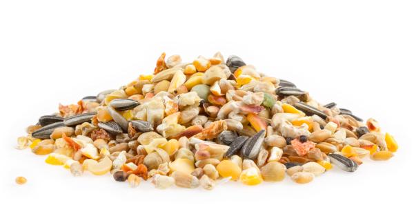 Mifuma Geflügelkörner Premium 25kg