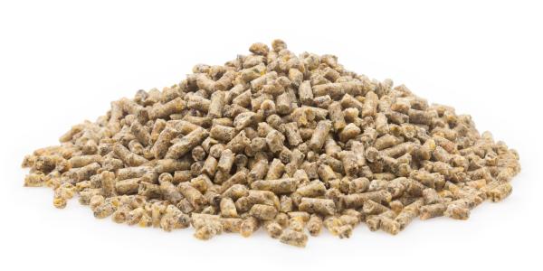Mifuma Kükenaufzucht Premium Pellet 25kg