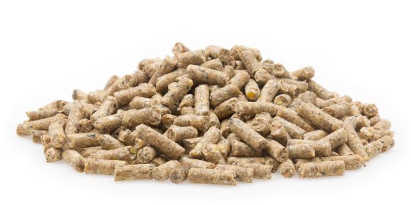 Mifuma Zucht Premium Pellet 25kg